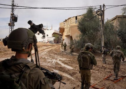 إصابة 12 من جنود الاحتلال بلسعات دبابير في غزة