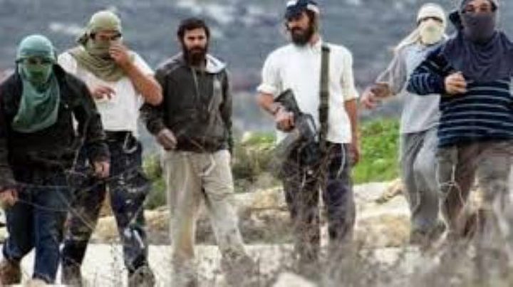 مستوطنون يعتدون على شابين جنوب نابلس