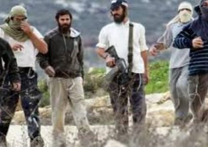 مستوطنون يعتدون على شابين جنوب نابلس