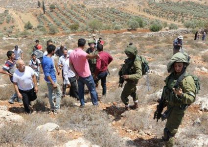 مستوطنون يهاجمون بلدة قصرة جنوب نابلس