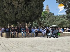 الآلاف يؤدون صلاة الجمعة في المسجد الأقصى والاحتلال يعتدي على المصلين