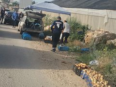 الآلاف من أهلنا في الداخل المحتل عبروا صباح اليوم حاجز الجلمة إلى مدينة جنين، وذلك بعد أن قامت سلطات الاحتلال بإعادة فتحه بعد إغلاق استمر 8 أشهر.