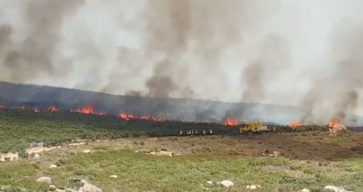 المستوطنون يحرقون 15 دونمًا من محصول القمح في سبسطية شمال غرب نابلس