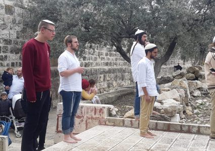 مستوطنون يقتحمون قرية جلجليا شمال رام الله