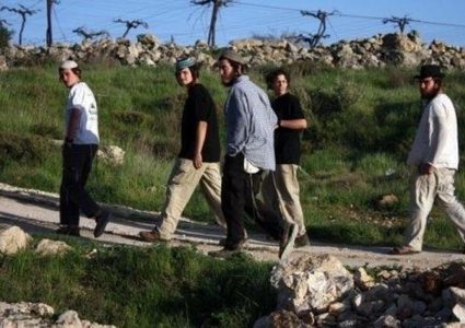 بيت لحم: مستوطنون يهاجمون مزارعين في قرية المنية ويسرقون المحصول الزراعي