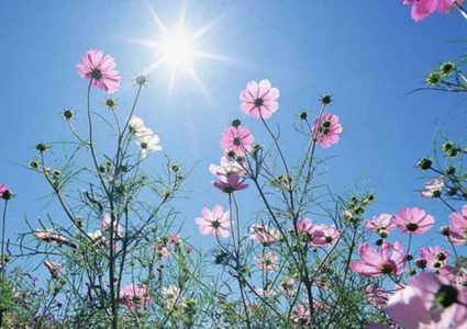 حالة الطقس: ارتفاع على درجات الحرارة