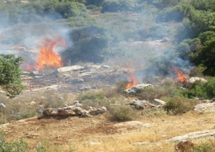 حريق يلتهم عشرات الدونمات من أراضي كفر الديك ودير بلوط غرب سلفيت