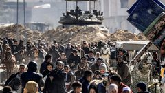 أكبر شبكة إنسانية في العالم تدعو لوقف إطلاق النار في غزة