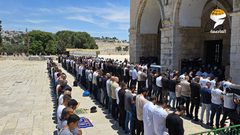 40 ألف مواطن يأدون صلاة الجمعة في المسجد الأقصى المبارك
