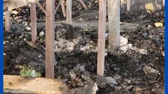 جانب من الدمار الكبير  الذي خلّفه جيش الاحتلال في حسبة رام الله