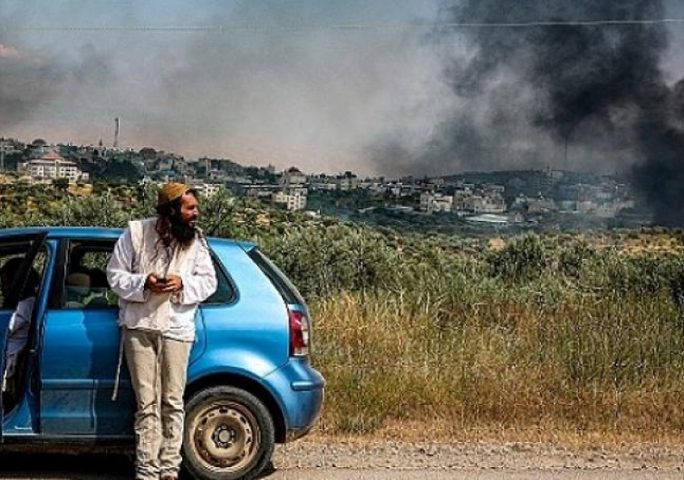 مستوطنون يتلفون أراضي في سبسطية شمال غرب نابلس