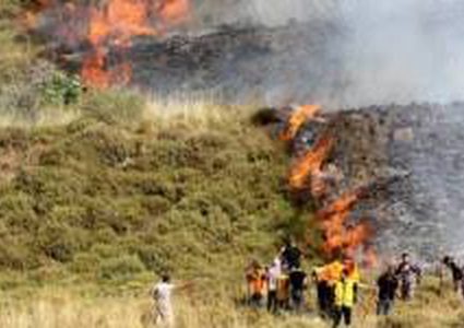 الاحتلال يطرد المزراعين من أراضيهم ويحرق 100 دونم في بيت أمر