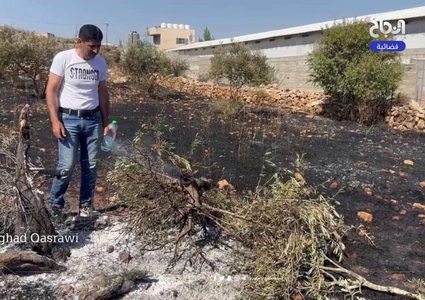 آثار اعتداء المستوطنين على ممتلكات المواطنين في بلدة قصرة جنوب نابلس