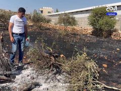 آثار اعتداء المستوطنين على ممتلكات المواطنين في بلدة قصرة جنوب نابلس
