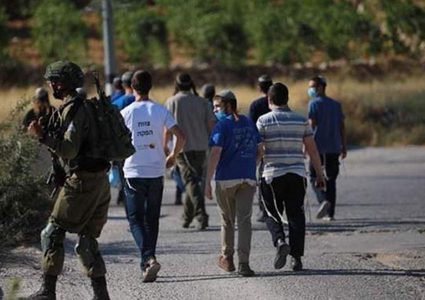 إصابة مواطن باعتداء مستوطنين في العوجا شمال أريحا