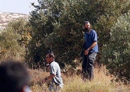 مستوطنون يقتلعون أشجار زيتون ويهدمون غرفة زراعية بمسافر يطا