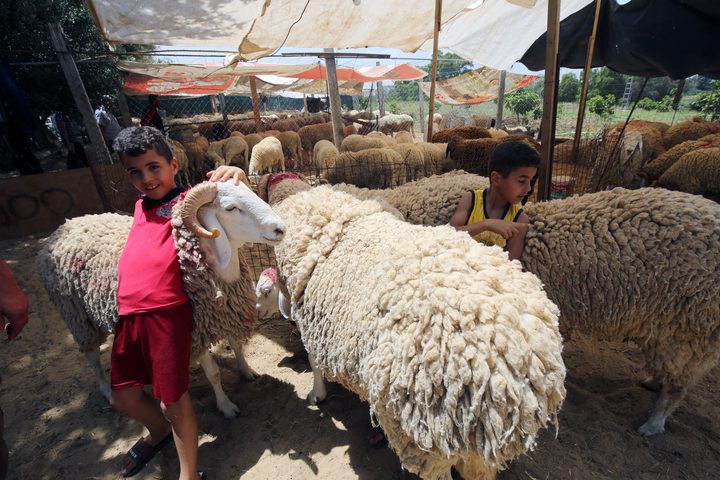 الدول الي ستحتفل بعيد الأضحى يوم الاثنين