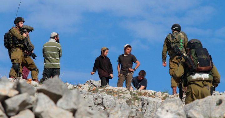 مستوطنون يعتدون على عائلة في مسافر يطا ويقطعون أشجار زيتون ولوزيات