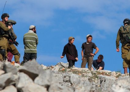 مستوطنون يعتدون على عائلة في مسافر يطا ويقطعون أشجار زيتون ولوزيات