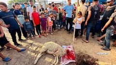 فلسطينيون يقومون بتعظيم شعائر الله في ذبح الأضاحي بما توفر بقطاع غزة رغم الحصار