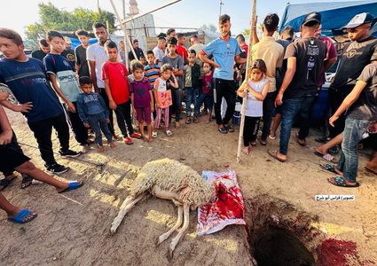 فلسطينيون يقومون بتعظيم شعائر الله في ذبح الأضاحي بما توفر بقطاع غزة رغم الحصار
