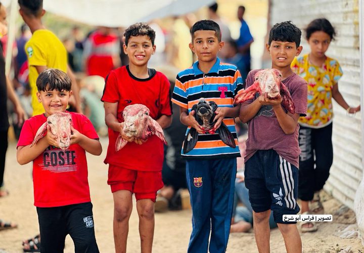 فلسطينيون يقومون بتعظيم شعائر الله في ذبح الأضاحي بما توفر بقطاع غزة رغم الحصار