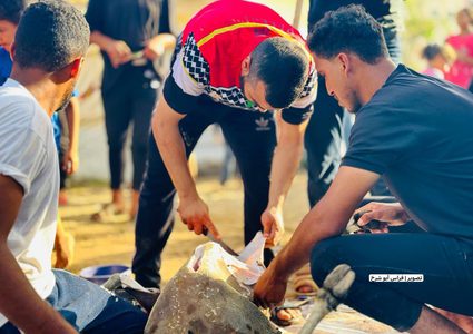 فلسطينيون يقومون بتعظيم شعائر الله في ذبح الأضاحي بما توفر بقطاع غزة رغم الحصار