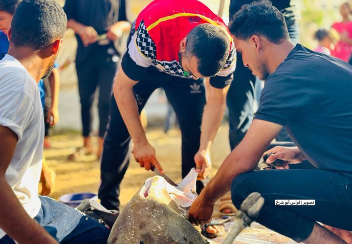 فلسطينيون يقومون بتعظيم شعائر الله في ذبح الأضاحي بما توفر بقطاع غزة رغم الحصار