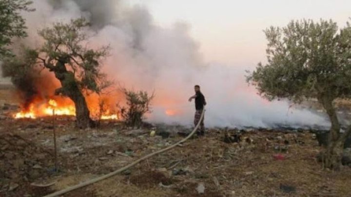 مستوطنون يشعلون النار بأرض زراعية في برقا شرق رام الله