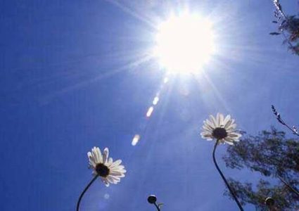 حالة الطقس: أجواء شديدة الحرارة حتى نهاية الأسبوع