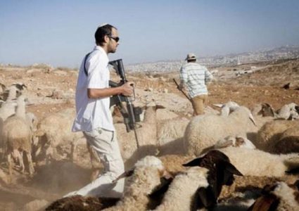 مستوطنون يهاجمون تجمعا بدويا شمال أريحا ويستولون على أغنام