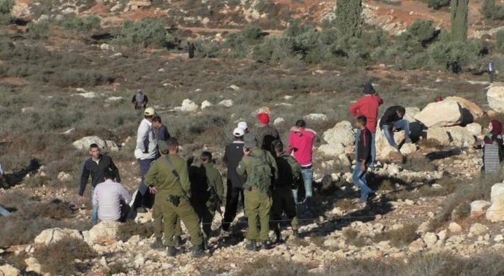 مستوطنون يستولون على أغنام في تجمع عين العوجا شمال أريحا