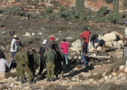 مستوطنون يستولون على أغنام في تجمع عين العوجا شمال أريحا