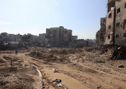 الأورومتوسطي: "إسرائيل" أخرجت أكثر من 75% من الأراضي الزراعية في غزة عن الخدمة