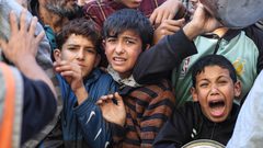 منظمة أنقذوا الطفولة: فقدان نحو 21 ألف طفل في غزة