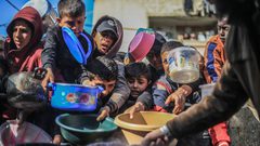 تقرير أممي: 96% من المواطنين في غزة يواجهون خطر انعدام الأمن الغذائي الحاد