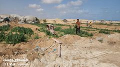 جرفت الدبابات والجرافات الاسرائيلية آخر سلة غذائية لقطاع غزة، تدمير نحو 500دونم زراعي من الدفيئات الزراعية شمال غرب مدينة رفح.