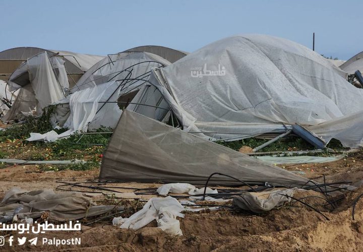 جرفت الدبابات والجرافات الاسرائيلية آخر سلة غذائية لقطاع غزة، تدمير نحو 500دونم زراعي من الدفيئات الزراعية شمال غرب مدينة رفح.