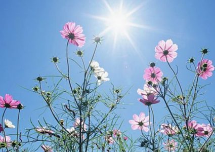 حالة الطقس: انخفاض طفيف على درجات الحرارة