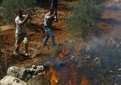 مستعمرون يضرمون النار بحقول زراعية  جنوب نابلس