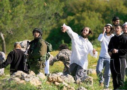 مستعمرون يعتدون بالضرب على مواطن جنوب نابلس