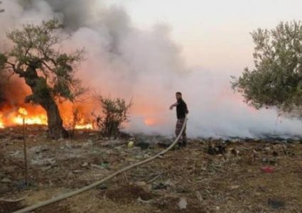 مستوطنون يحرقون مساحات زراعية في قرية ظهر العبد غرب جنين