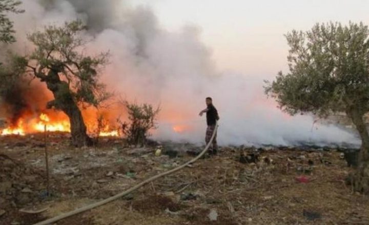 مستوطنون يحرقون مساحات زراعية في قرية ظهر العبد غرب جنين