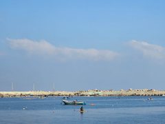 سمك تم استخراجه صباح اليوم من بحر مدينة غزة بعد ان نجح الصيادون بالدخول الى البحر وجلبه في ظل المجاعة القاسية التي يعاني منها ابناء شعبنا منذ أشهر