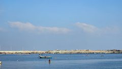 سمك تم استخراجه صباح اليوم من بحر مدينة غزة بعد ان نجح الصيادون بالدخول الى البحر وجلبه في ظل المجاعة القاسية التي يعاني منها ابناء شعبنا منذ أشهر