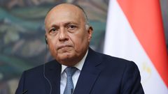 وزير الخارجية المصري: لا بديل عن "أونروا" وندعو لوقف فوري لإطلاق النار في غزة
