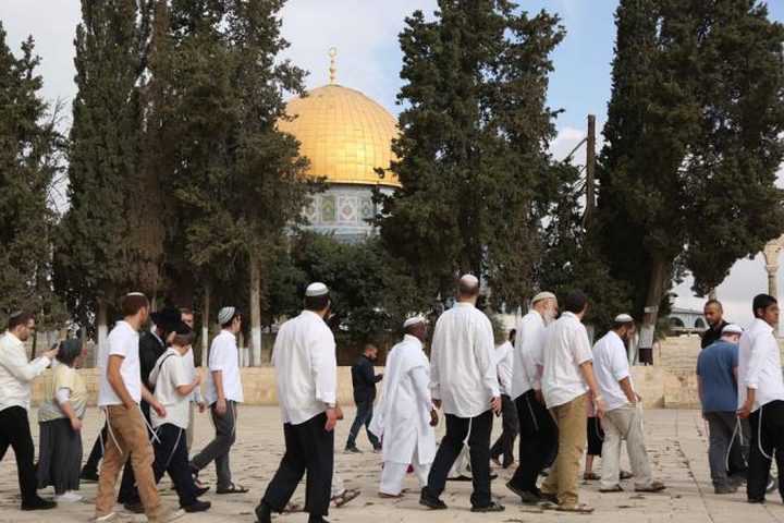 144 مستوطناً يقتحمون المسجد الأقصى