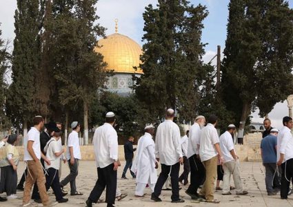 144 مستوطناً يقتحمون المسجد الأقصى