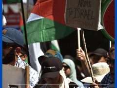 استمرار الفعاليات المساندة لغزة وفلسطين في مدينة مونتريال بكندا.