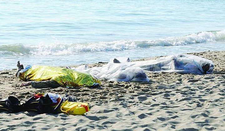العثور على جثث 7 مهاجرين وإنقاذ 19 قبالة السواحل التركية